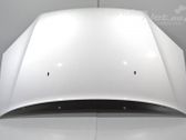 Engine bonnet/hood