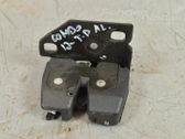 Loading door lock