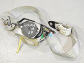 Cinturón delantero