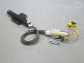 Seat belt adjustment motor