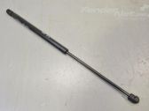 Front bonnet/hood damper/strut