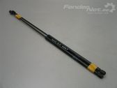 Front bonnet/hood damper/strut