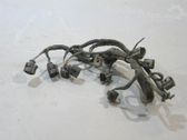 Cableado del sensor de aparcamiento (PDC)