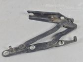 Tailgate/trunk/boot hinge