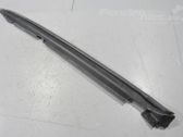 Fender trim (molding)