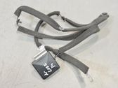 Bluetooth Antenne