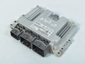 Engine control unit/module ECU