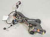 Front door wiring loom