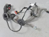 Rear door wiring loom