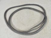 Trunk rubber seal (body)