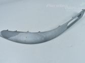 Front bumper lip