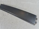 Rear door glass trim molding