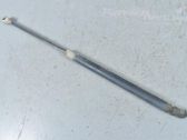 Tailgate strut
