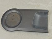 Rear door trim (molding)