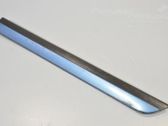 Rear door trim (molding)