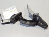 Tailgate/trunk/boot hinge