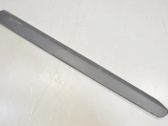 Front door trim (molding)