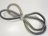 Rear door rubber seal (on body)