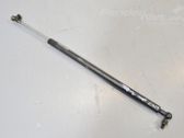 Tailgate strut