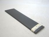 Front door trim (molding)