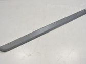 Front door trim (molding)
