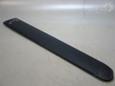 Front door trim (molding)