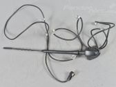 Radion antenni