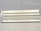 Front door trim (molding)