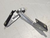 Engine bonnet/hood hinges