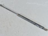 Tailgate strut