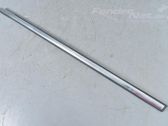 Front door glass trim molding