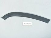 Rear door trim (molding)