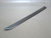 Front door trim (molding)