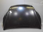 Motorhaube