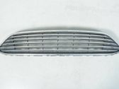 Front bumper lower grill