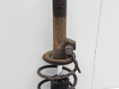 Front shock absorber with coil spring