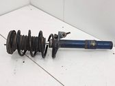 Front shock absorber/damper