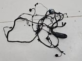 Front door wiring loom