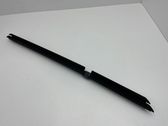 Rear door glass trim molding