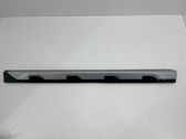 Front door trim (molding)