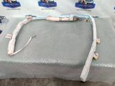 Airbag del techo