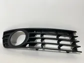 Front fog light trim/grill