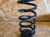 Rear coil spring