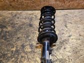 Front shock absorber with coil spring