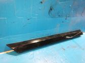 Rear door trim (molding)