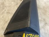 Front door high frequency speaker