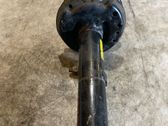 Front shock absorber with coil spring