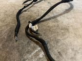 Other wiring loom