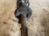 Front shock absorber with coil spring