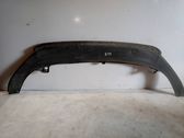 Front bumper lip